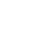 020-lotus.png
